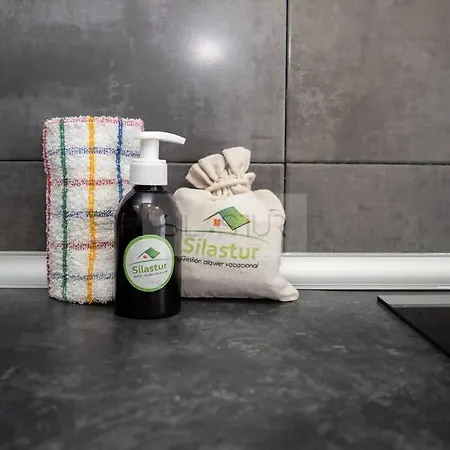 Vive Ii 奥维耶多