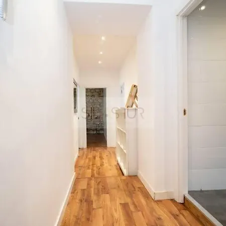 Vive Ii 奥维耶多